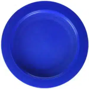 Assiette avec bord intérieur bleue